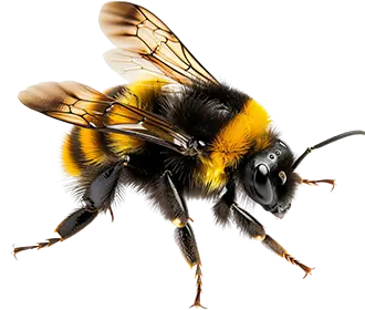 Bee representing contrast between sweet honey and painful sting
